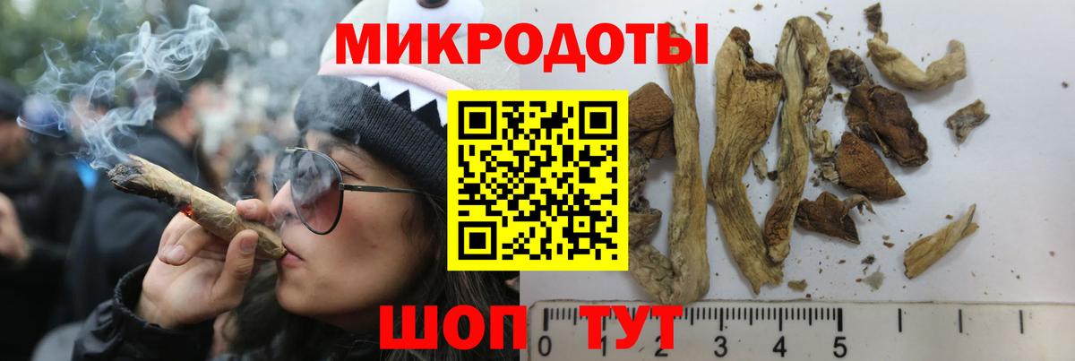 Псилоцибиновые грибы GOLDEN TEACHER  Галлюциногенные грибы Psilocybe  Вход с VPN  купить наркотик  Лабинск 